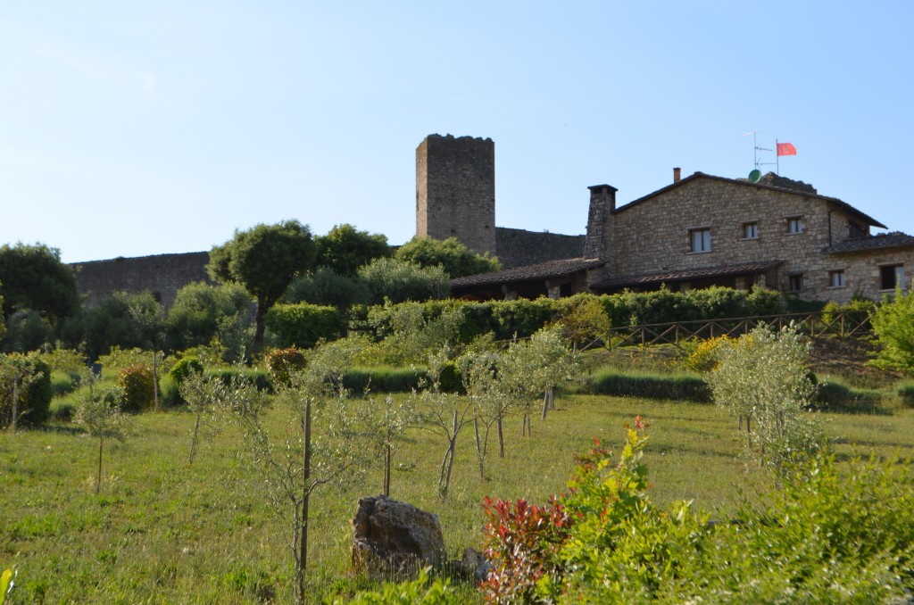 monteriggione
Foto propiedad de LC, prohibido su uso sin autorizacion