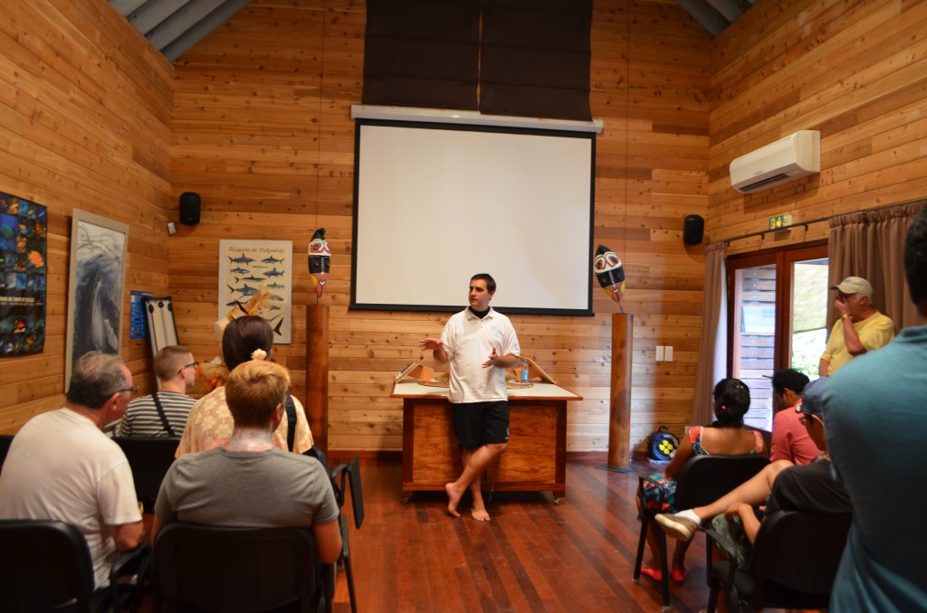 le meridien bora bora turtle clinic