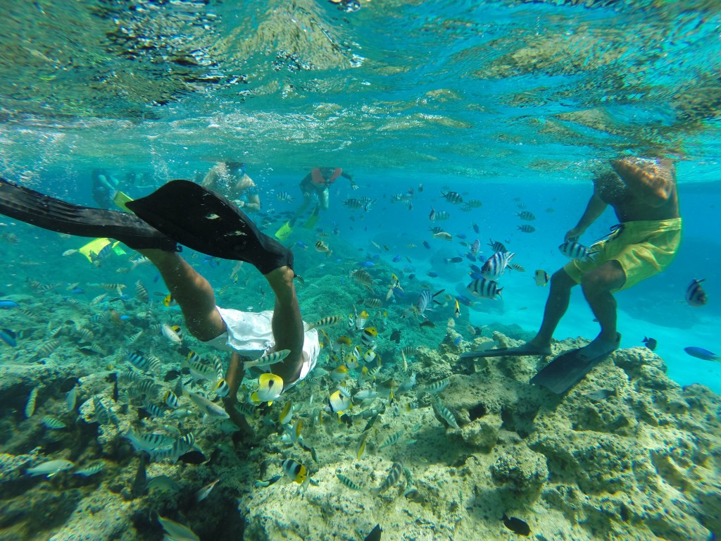 bora bora snorkeling
