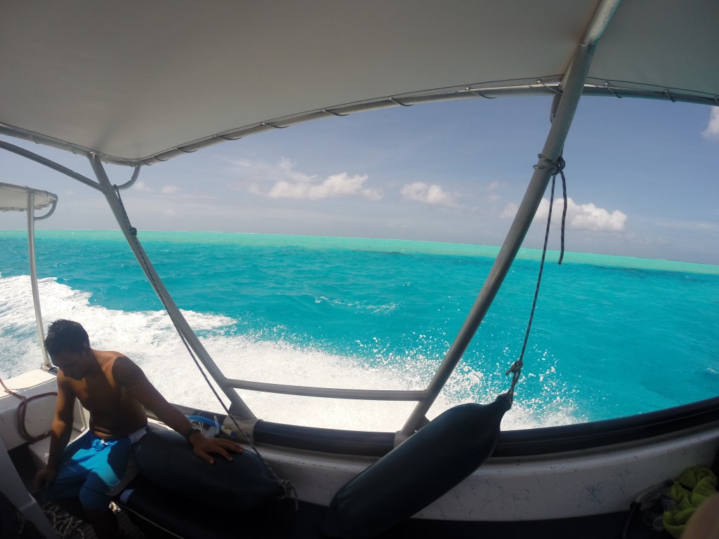 bora bora snorkeling excursion