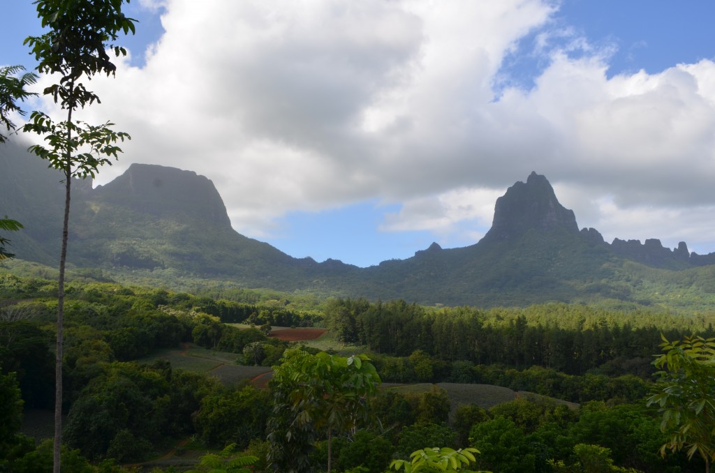 piñas moorea