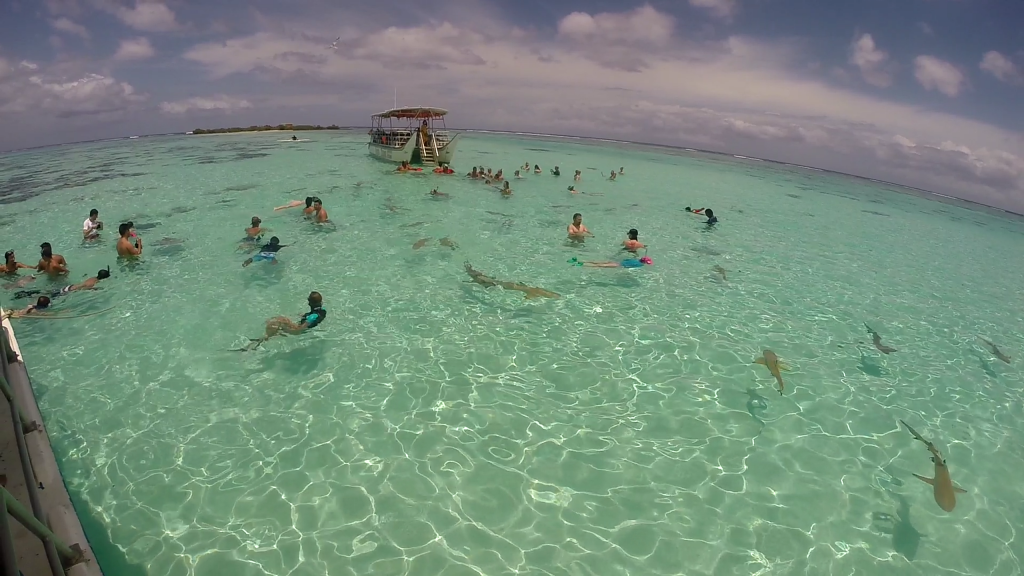 moorea snorkeling