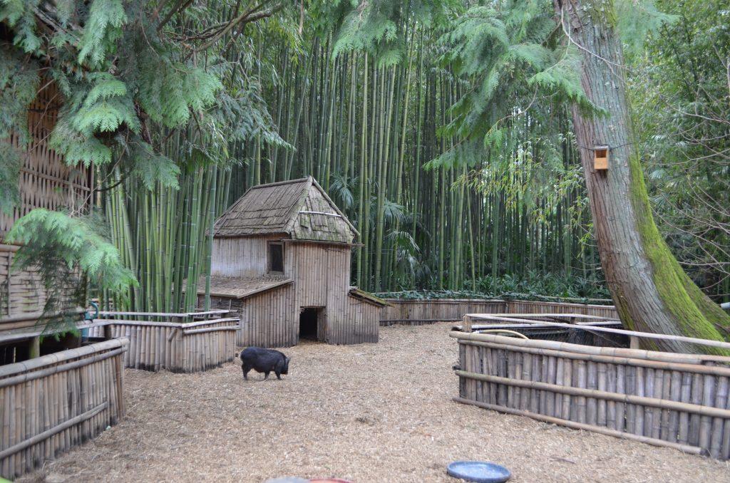 Representacion Village de Laos