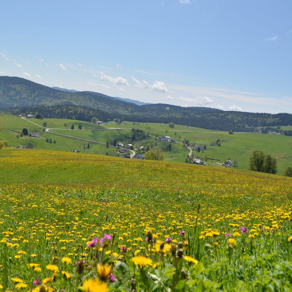 valle en Schauinsland
