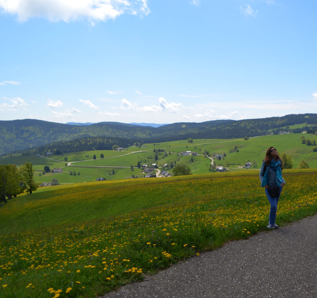 valles de la selva negra