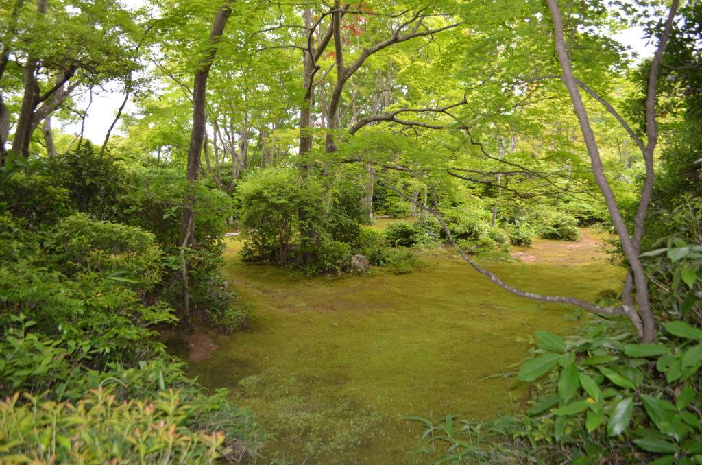 kyoto jardin arishayama