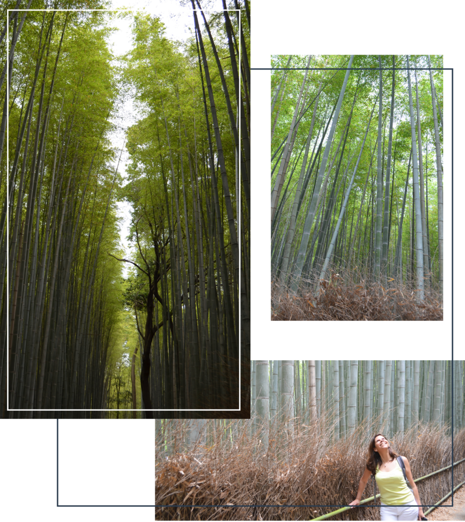 arashiyama bamboo forest