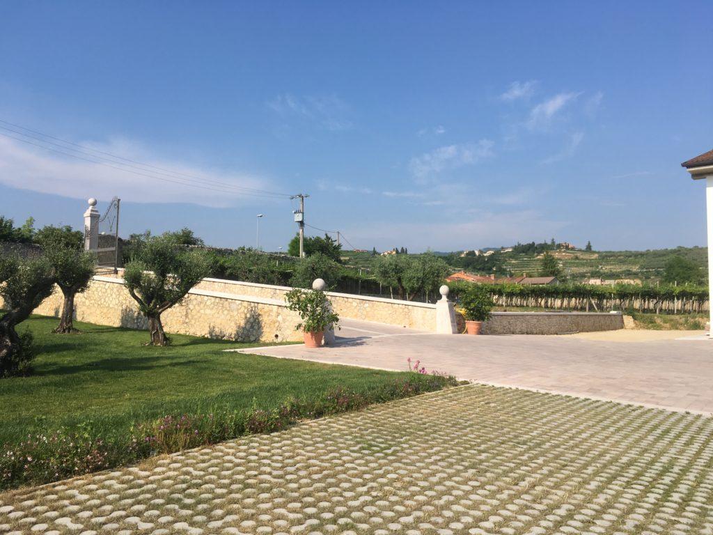 donde comprar vino en italia