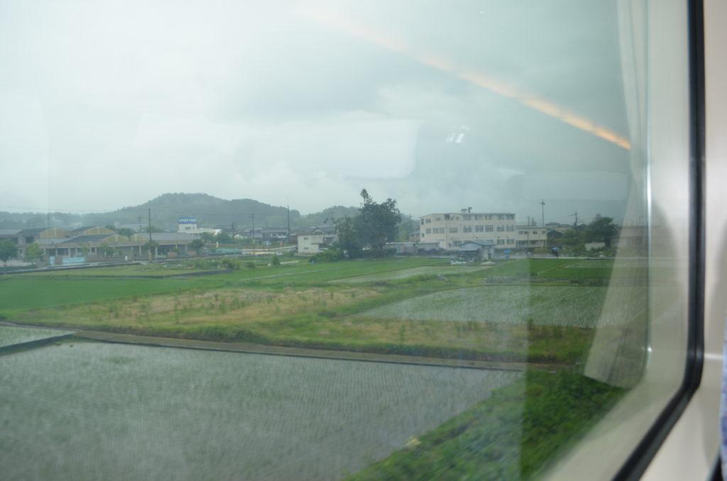 campos de arroz desde el tren