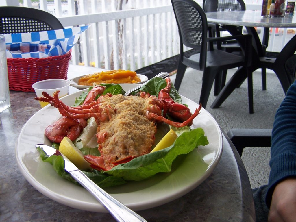 lobster cape cod