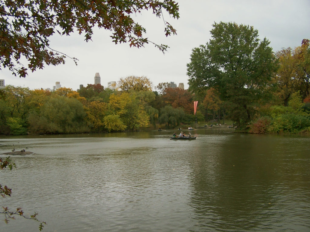 new york central park