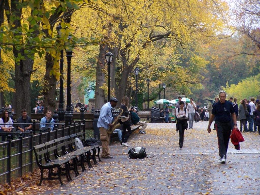new york central park