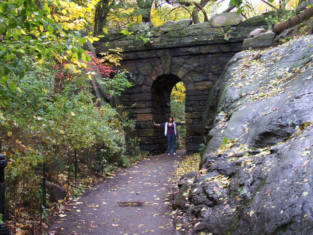 new york central park