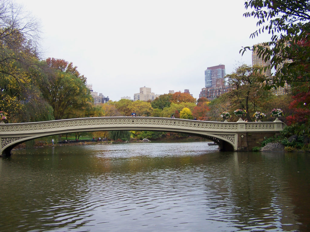 new york central park