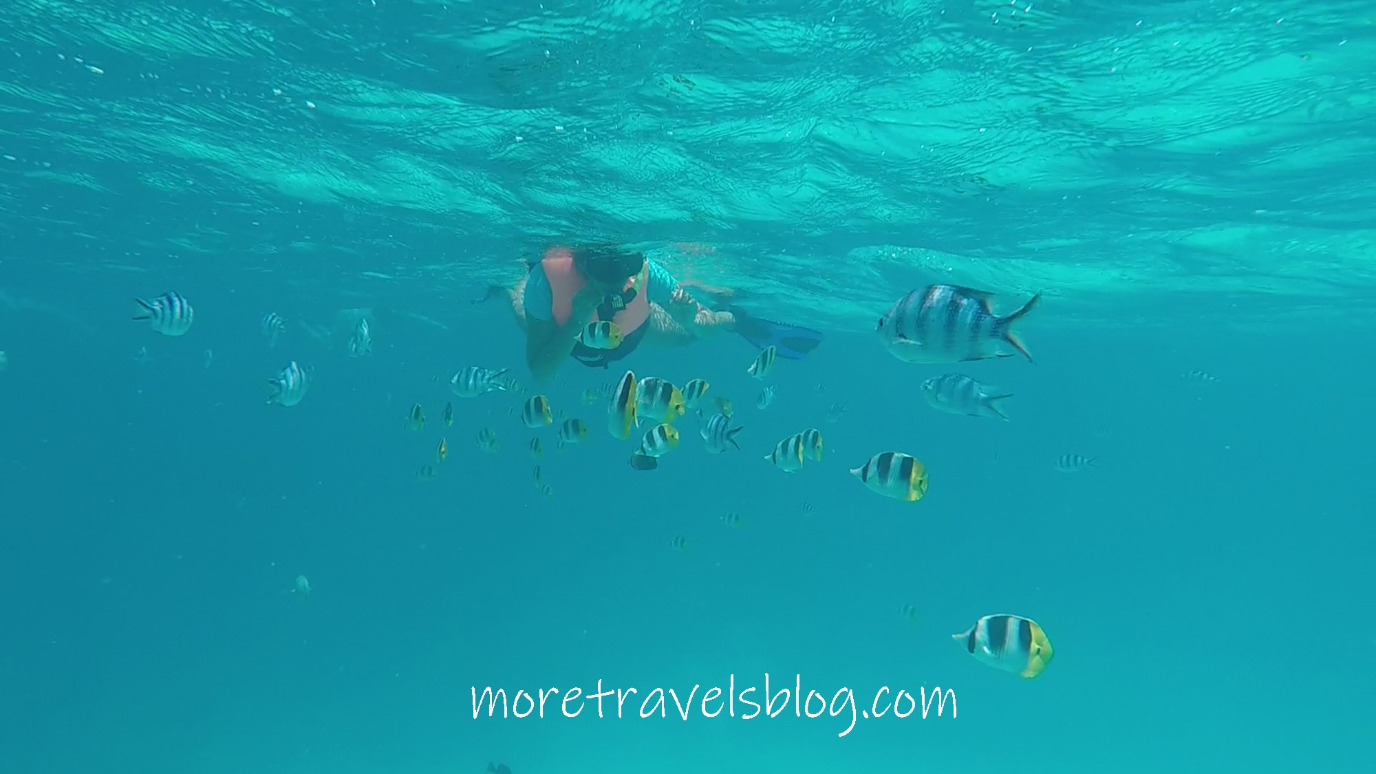 snorkeling bora bora