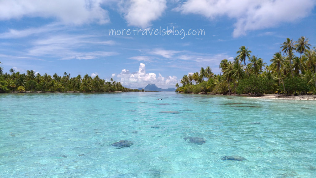 jardin de coral tahaa