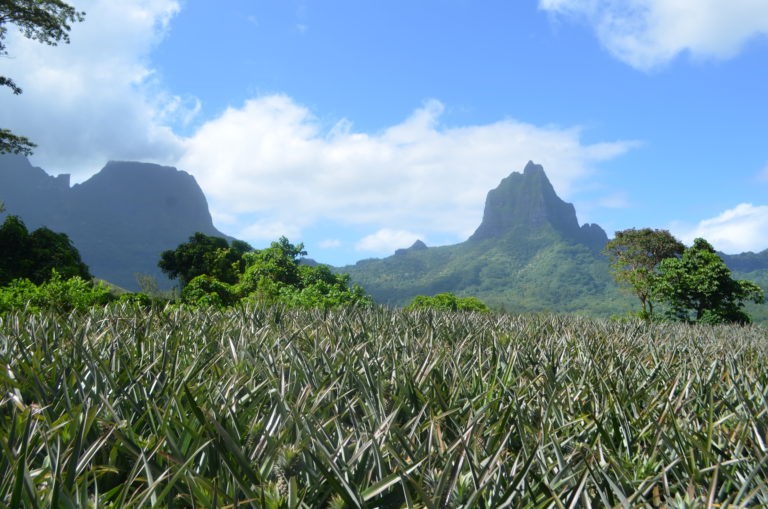 Moorea destinos de viaje