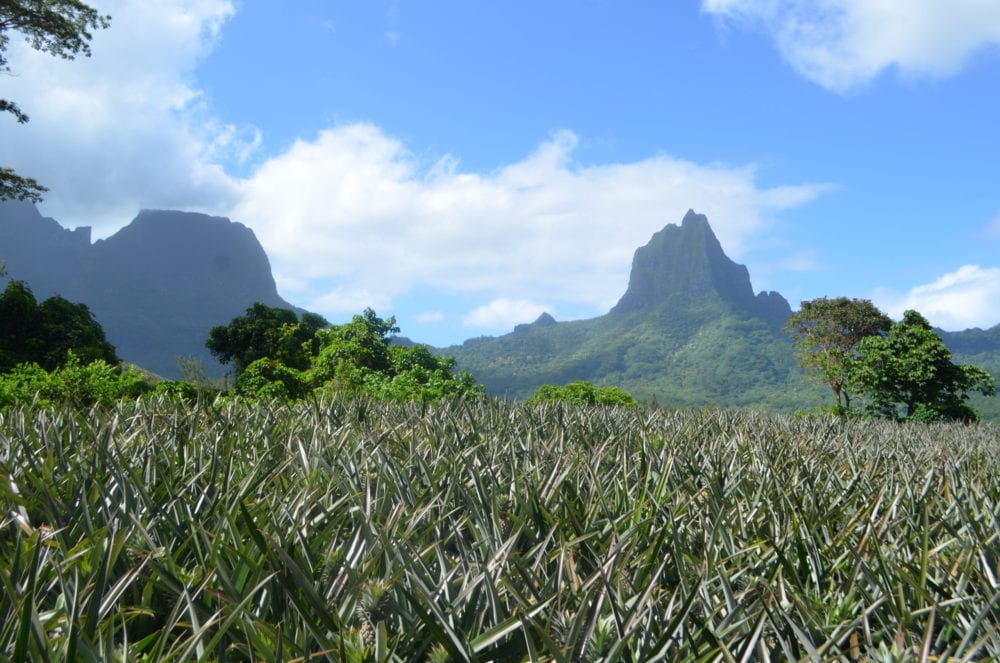 Moorea destinos de viaje