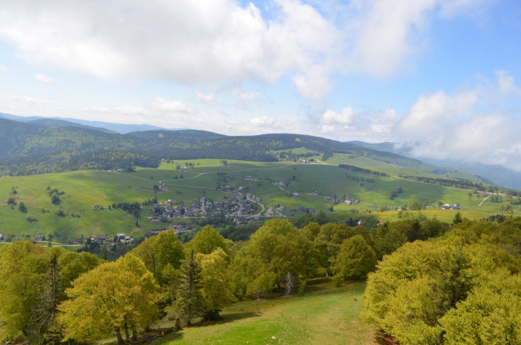 vista sobre la selva negra