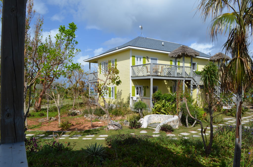 bahamas eleuthera pinneapple fields