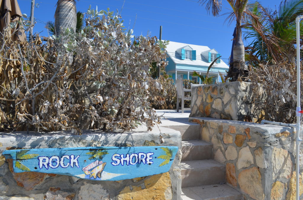 bahamas eleuthera pinneapple fields