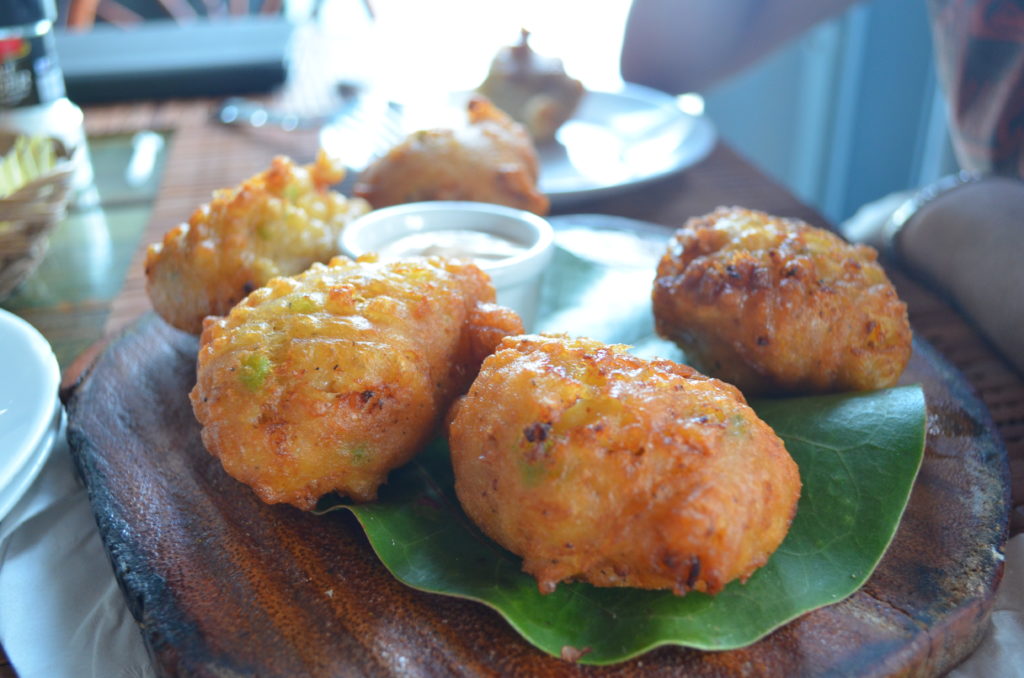 bahamas eleuthera tippys 1