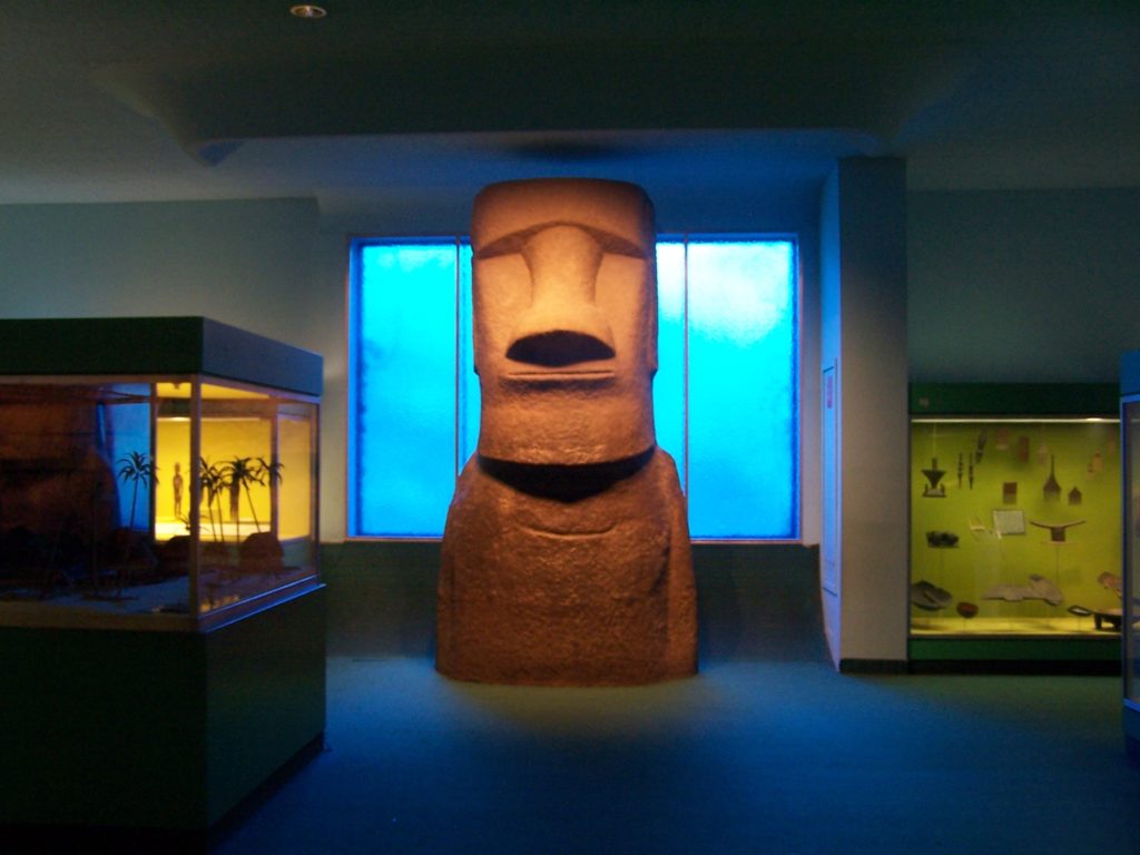 historia natural new york