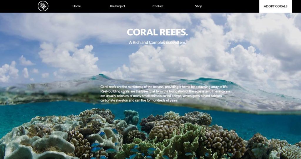adopts a coral website