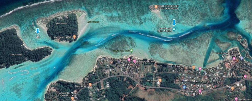 snorkeling in moorea