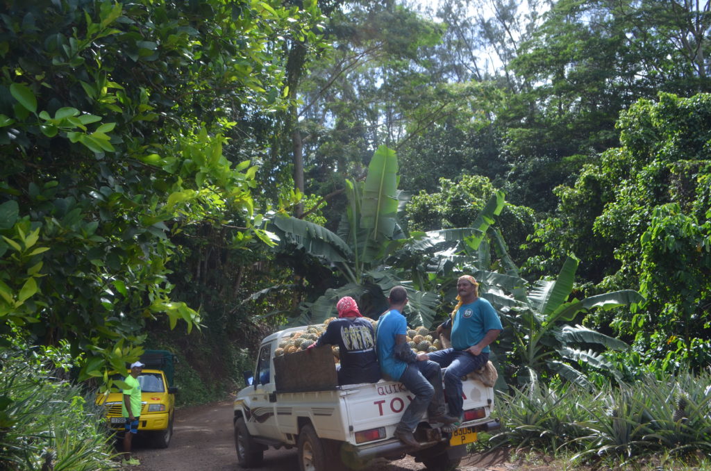 cuanto cuesta moorea 
