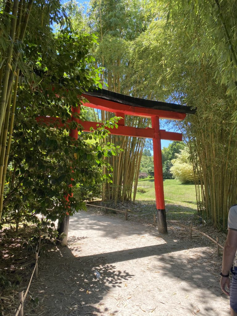 jardin japonés