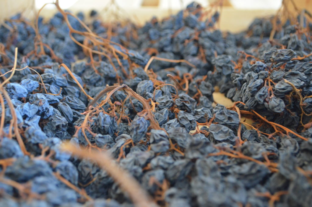 uva desecada valpolicella