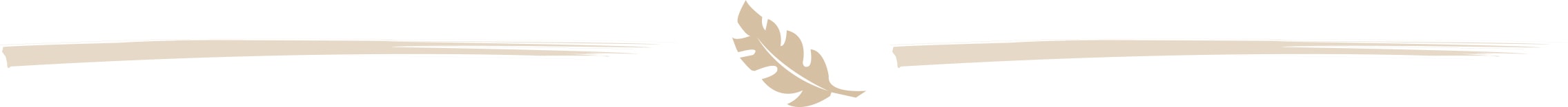 banner-decorativo-beige