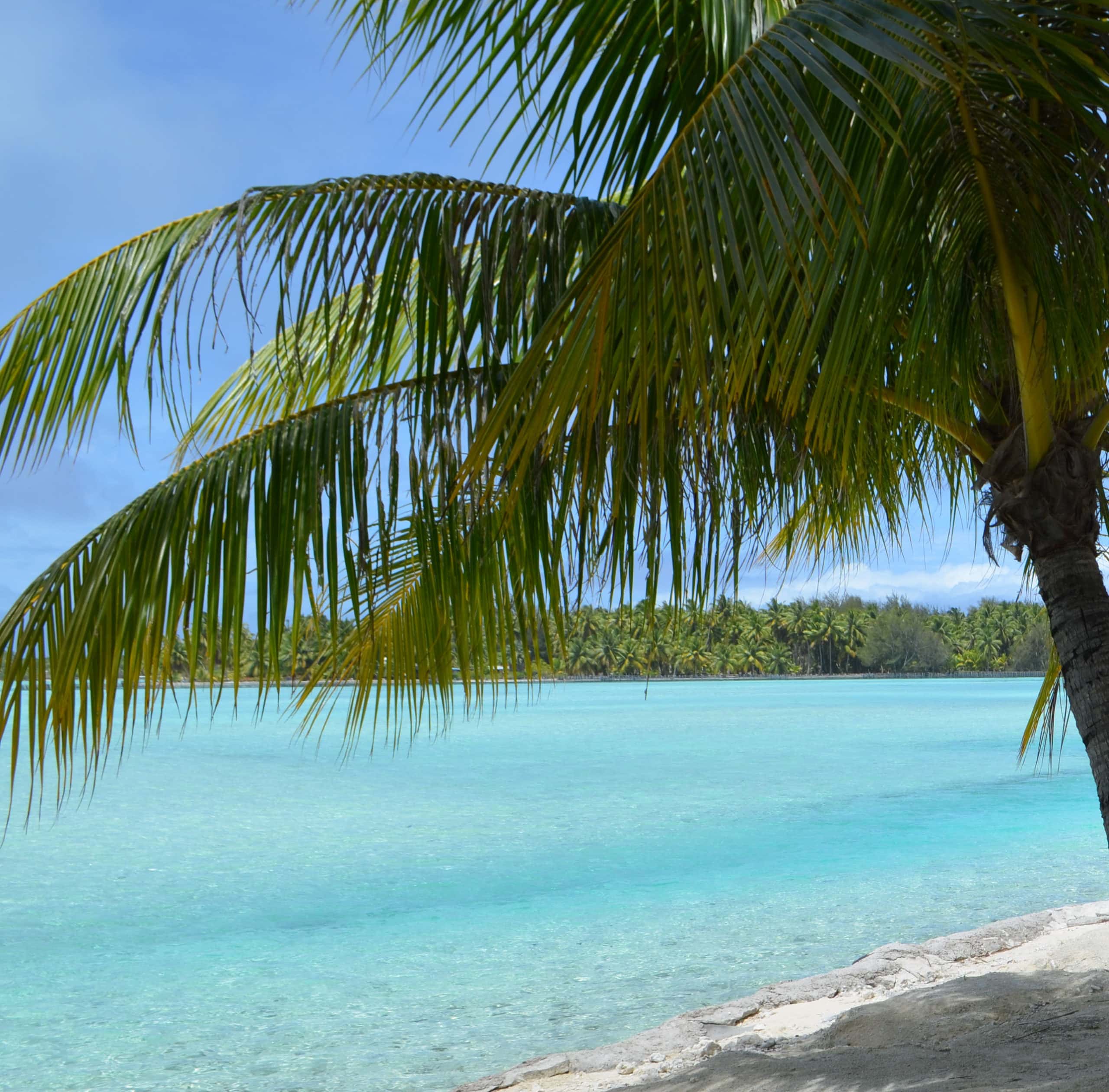 bora bora blog traveling