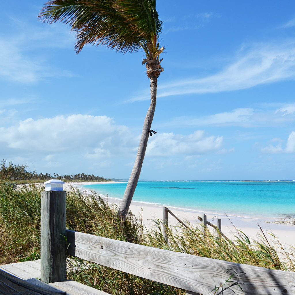 eleuthera beach tippys