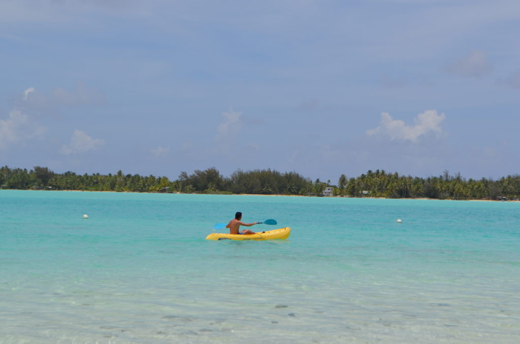 kayak en st regis lagonarium