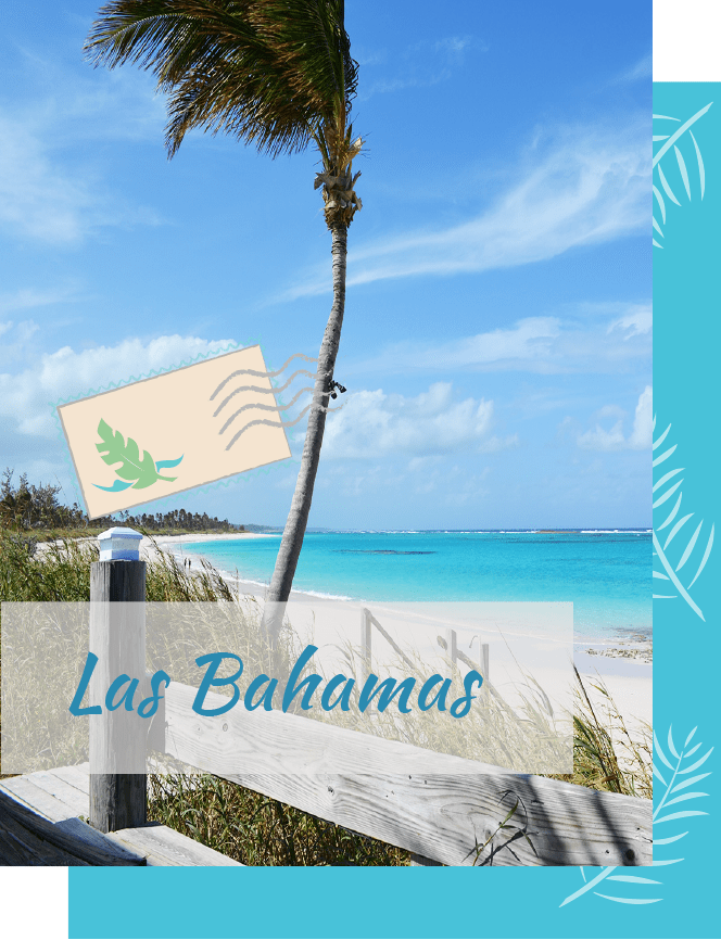 viaje a las bahamas