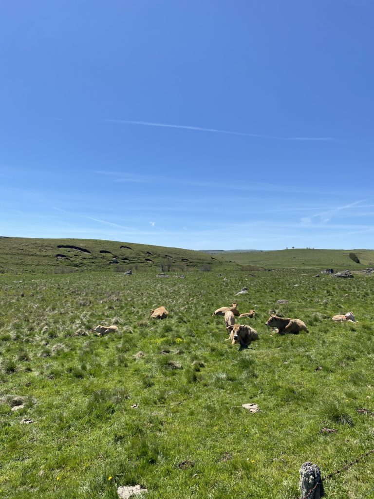 French Countryside Road Trip to the Aubrac