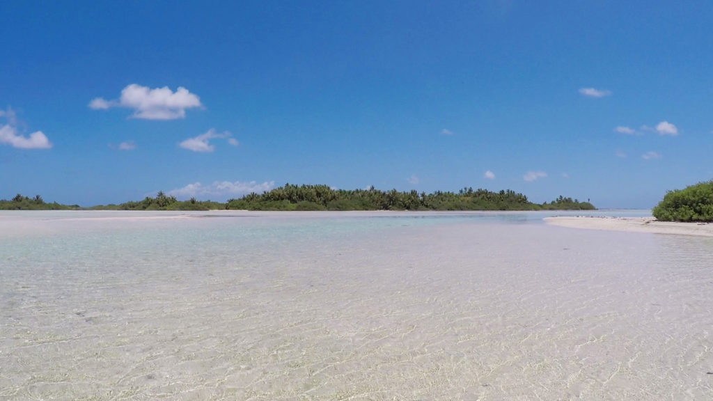 sables-roses-rangiroa