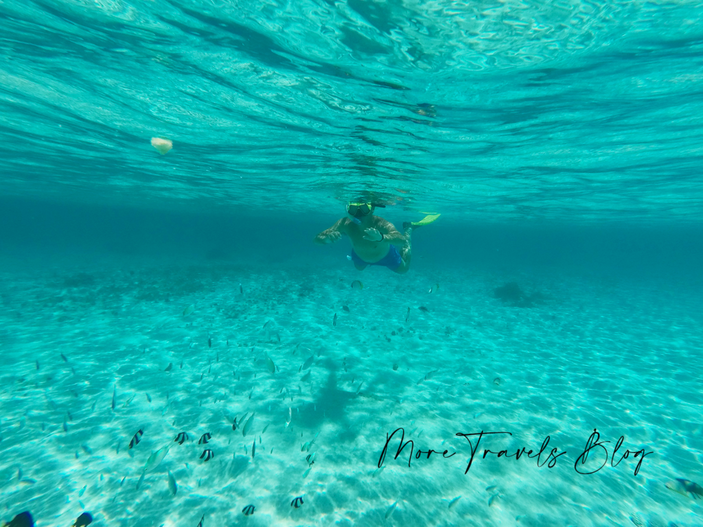 snorkel moorea sofitel