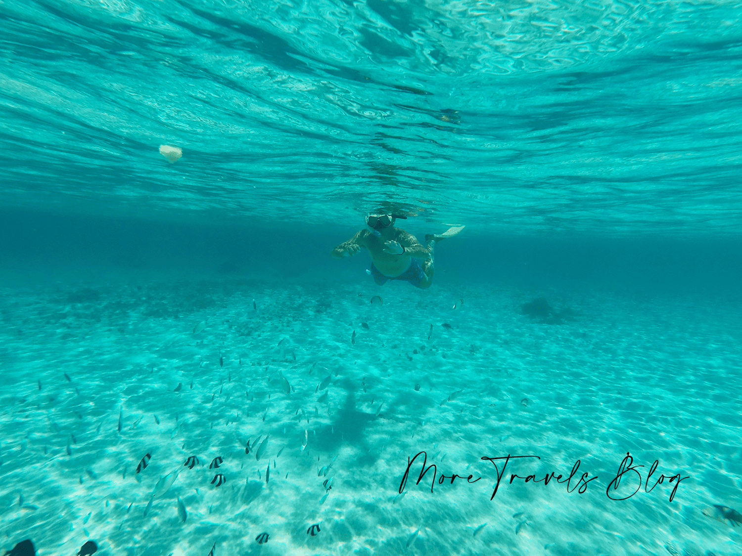 snorkel moorea sofitel