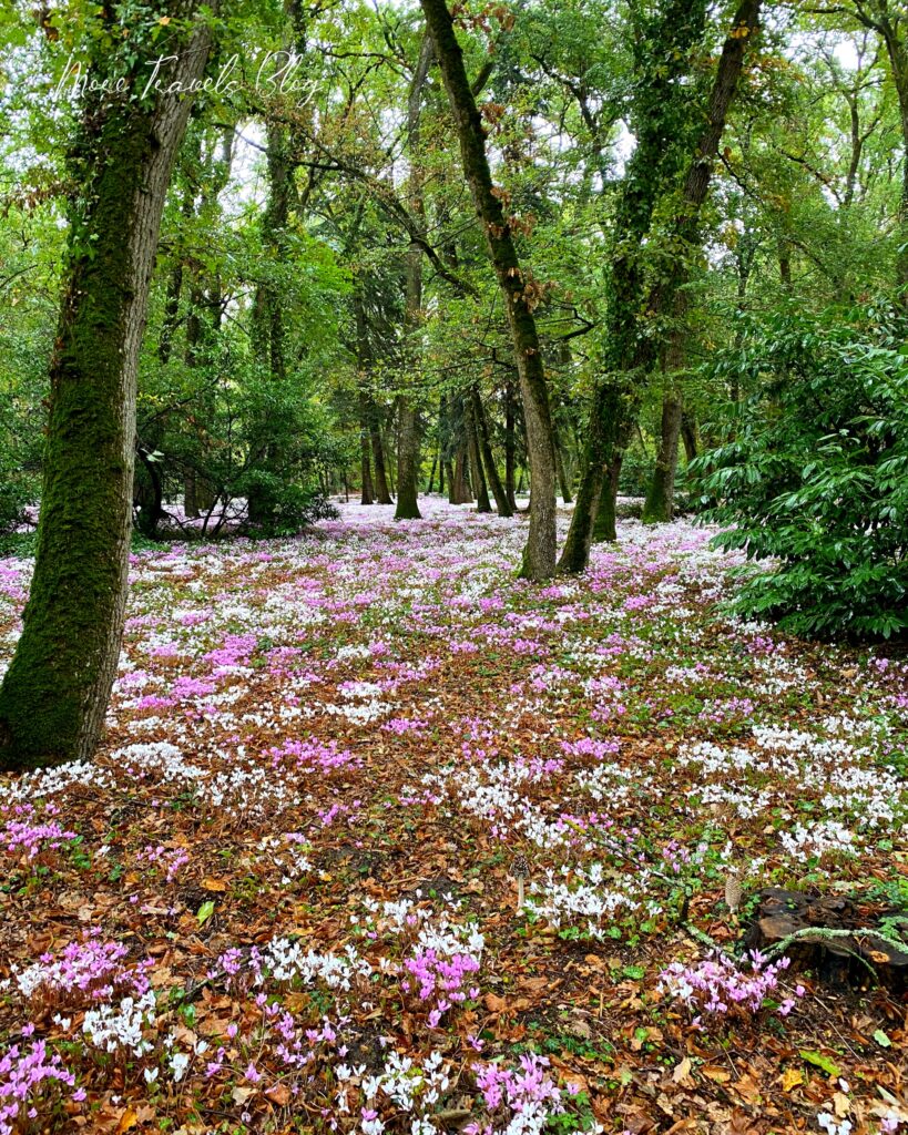 domaine de la tortiniere