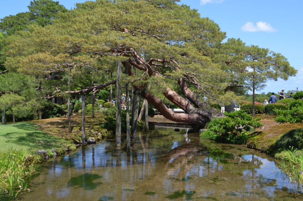 kenroku-en garden pond